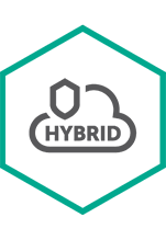 Kaspersky Security для виртуальных и облачных сред, Core Russian Edition. 250-499 Core 2 year Base License